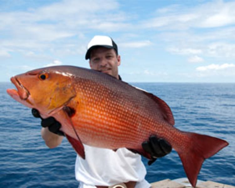 Image of Deep Sea Fishing Charter Miami - up to 6 people, 6 Hours