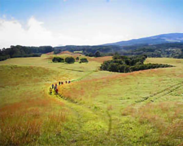 Upcountry Hiking Tour Maui - 3 Hours