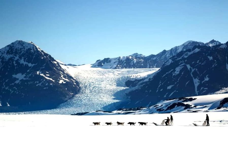 Helicopter Glacier Landing and Dogsled Tour - 2 Hours 15 Minutes