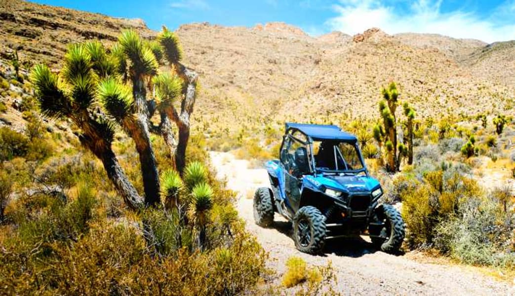 UTV Rentals Las Vegas, 2 Hour Polaris RZR Hire Mojave Desert