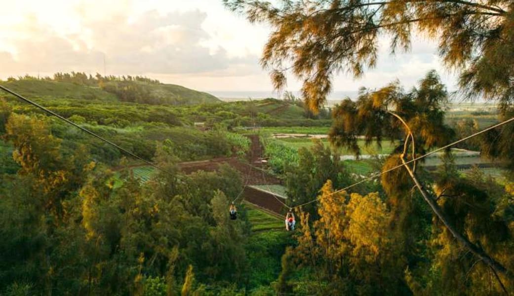 Image of 3 Hour Zipline Oahu, North Shore