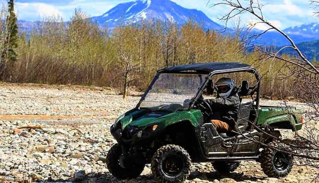 Two-Rider ATV Guided Tour Denali, Wilderness Adventure - 90 Mins (Denali Shuttle Available!)