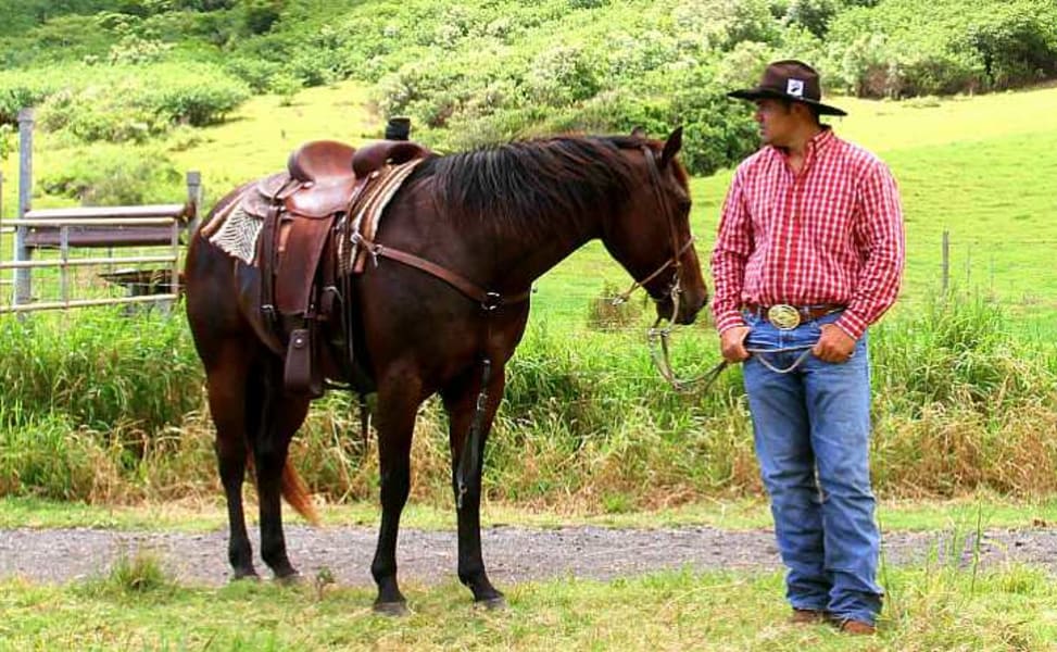 Horseback Riding Oahu, Kualoa Ranch, 1 Hour Ride