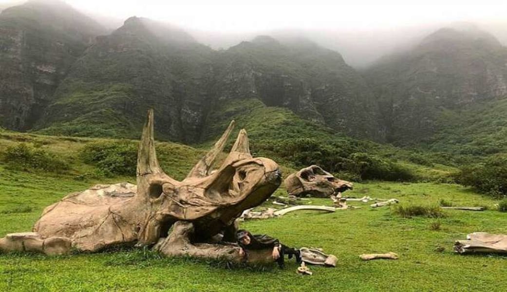 Image of Oahu Premier Movie Sites Tour, Kualoa Ranch - 2.5 Hours