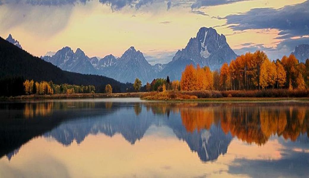 Jackson Hole Summer & Fall Wildlife Sunrise Safari, Grand Teton National Park - Half Day