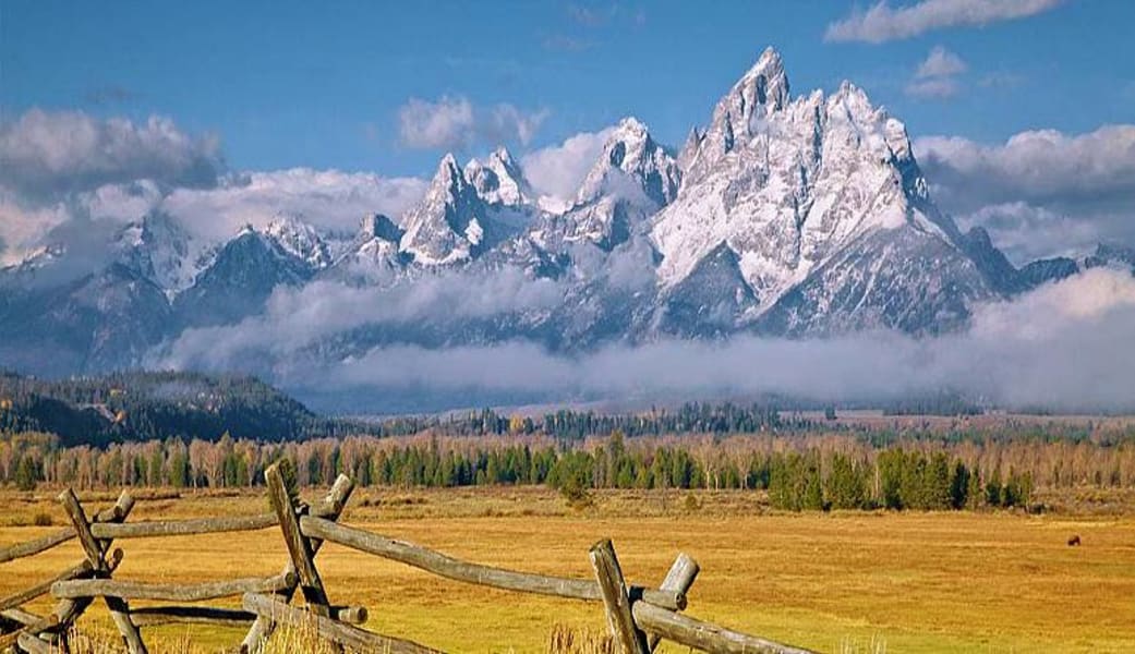 Jackson Hole Wildlife Full Day Safari, Grand Teton National Park (Private Trip For Up To 5 People!) - Full Day