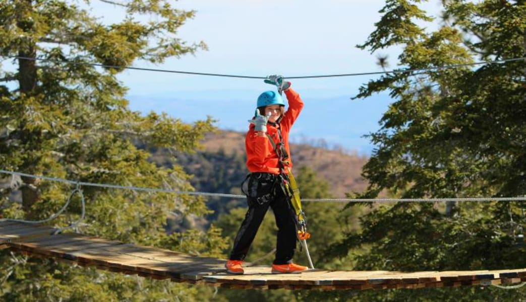 Ziplining Big Bear Lake - 3 Hours