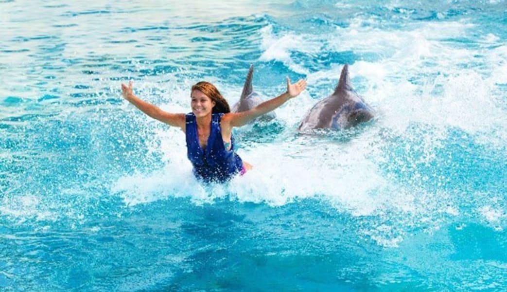 Image of Dolphin Royal Swim Hawaii, Admission to Sea Life Park, 30 min Swim