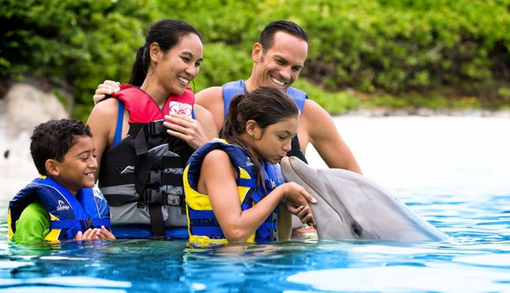 Dolphin Swim Adventure Hawaii with Admission to Sea Life Park - 45 Minute Swim