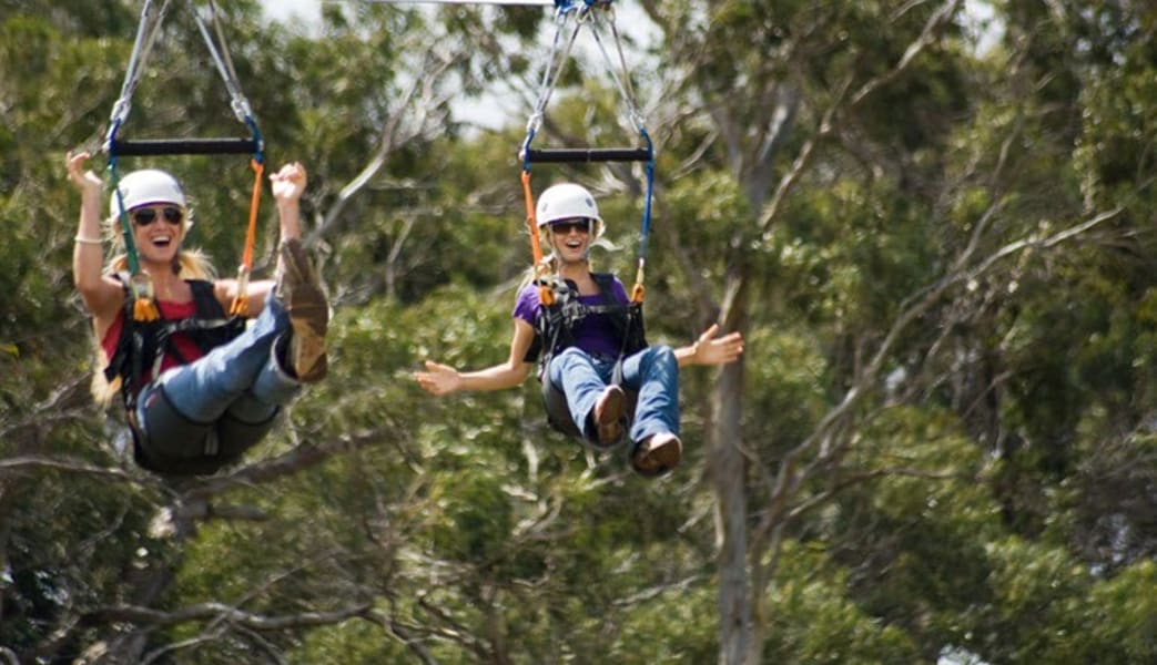 Zipline Maui, 4 Line Tour - 2 Hours