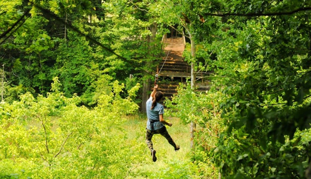 Buy Cheap Zipline Treetop Adventure Chicago, Western Springs, 2.5 hrs