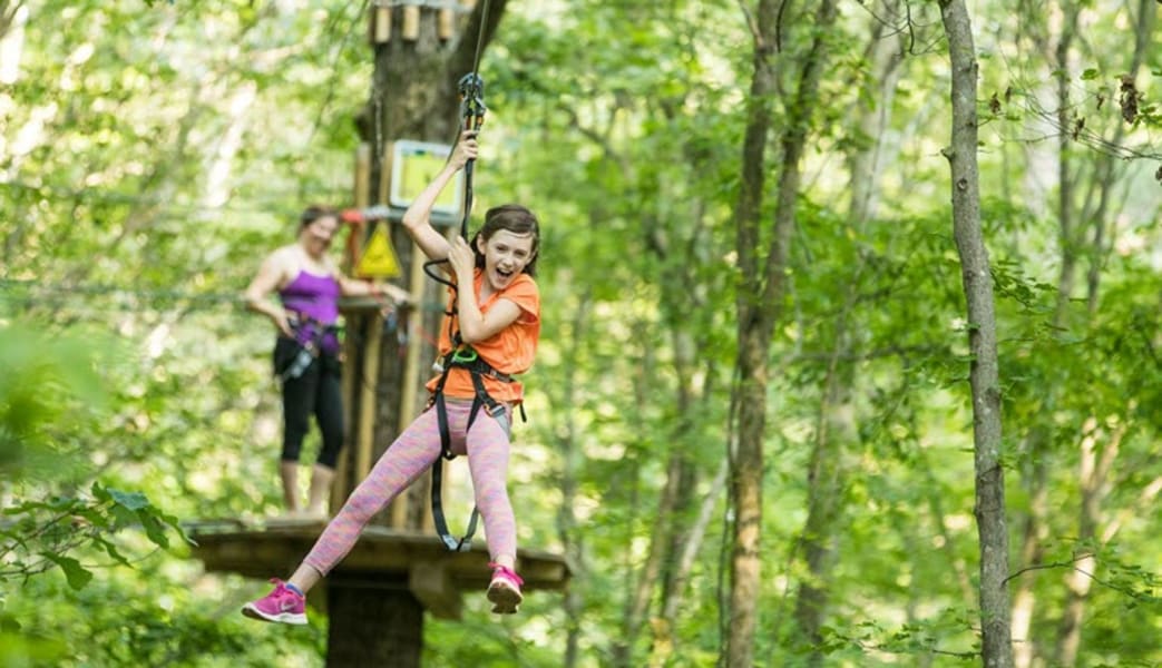 Zipline Treetop Adventure Derwood, Maryland - 2 Hours 30 Minutes