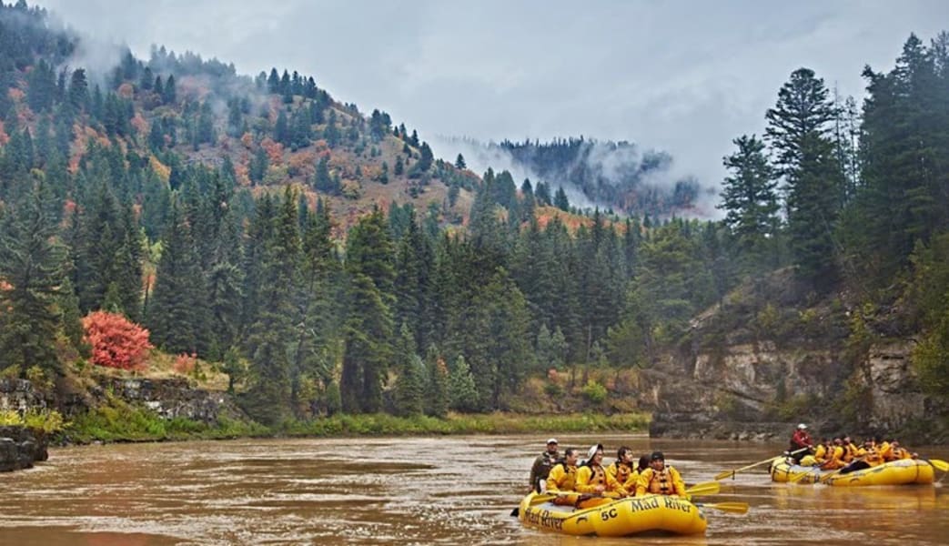 Scenic Float Jackson Hole, Snake River - 3 Hours