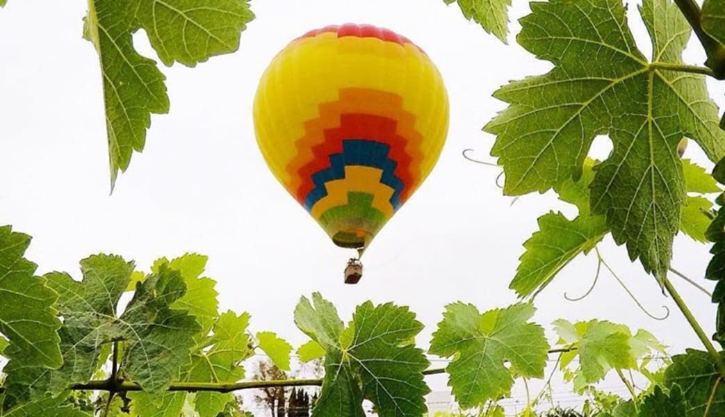 Hot Air Balloon Ride Temecula - 1 Hour Sunrise Flight