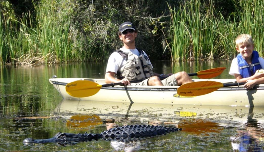 Image of Kayak or Canoe Eco Tour, Mangrove Tunnel - 3 Hours
