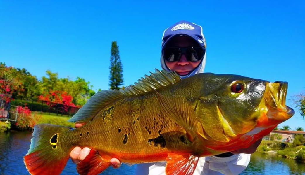 Fishing Tour Miami, Airport Lakes - 6 Hours