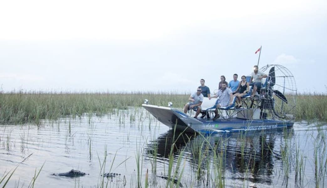 Everglades Airboat Tour, Fort Lauderdale - 40 Minutes (Includes Free Alligator Tooth Souvenir!)