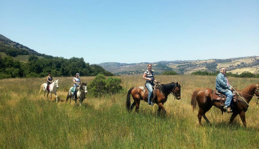 Horseback Riding Santa Cruz, Hecker Pass - 2.5 Hours