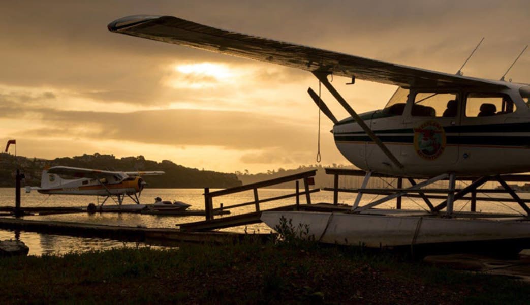 San Francisco Seaplane Ride, Sunset Champagne Tour - 40 Minutes