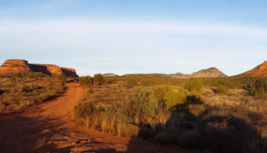 Image of Jeep Tour Sedona, Diamond Back Extreme - 2 Hours 30 Minutes