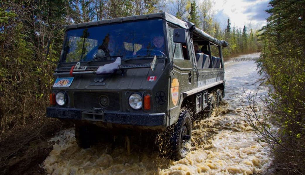 Image of Denali Backcountry Safari - 3.5 Hours
