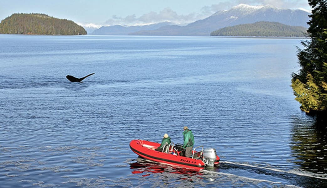 Zodiac Boat Scenic Tour Ketchikan - 1.5 Hours