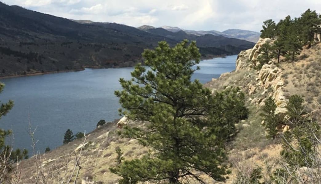 Image of Bus Tour Fort Collins - 90 Minutes