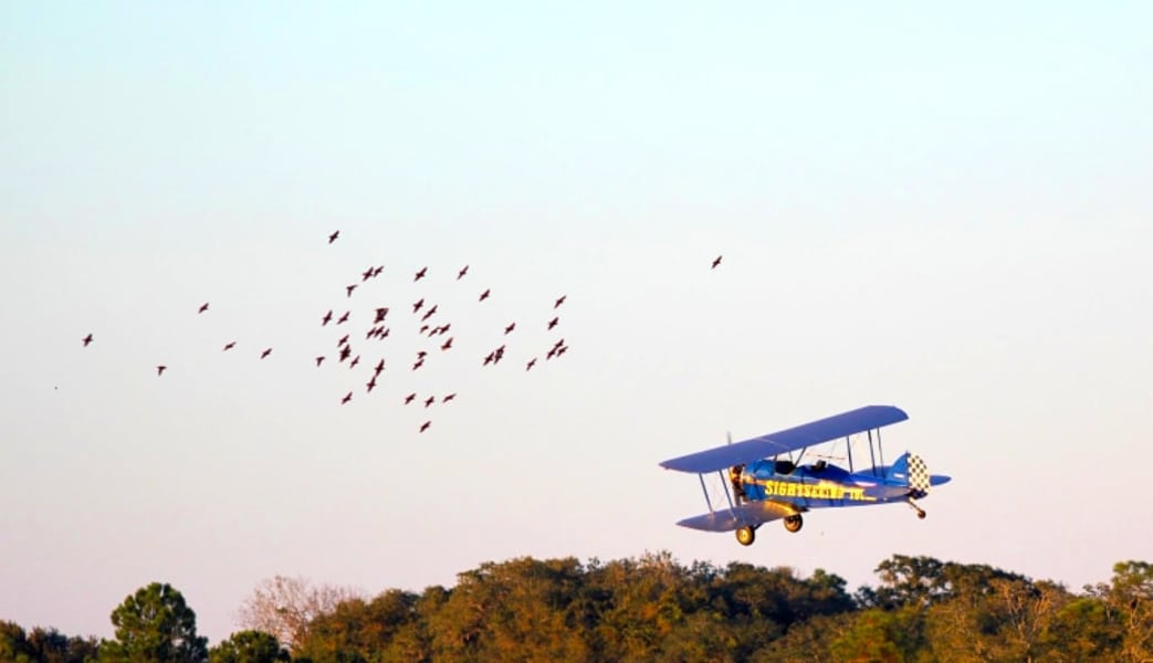 8 Minute Smoky Mountain Biplane Ride Sevierville