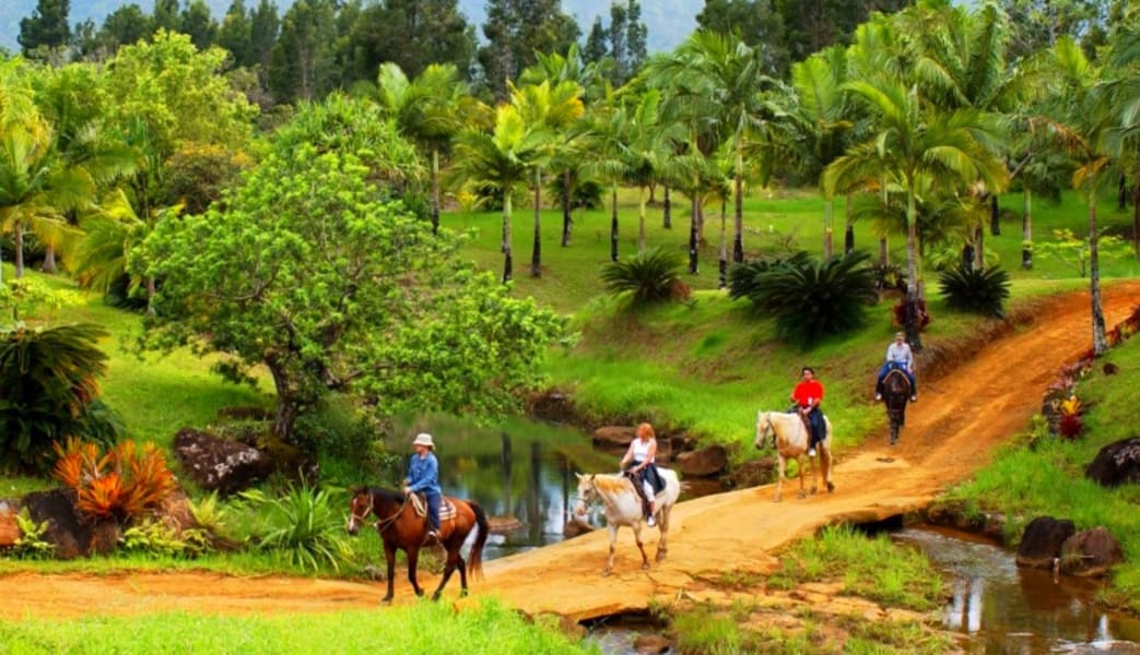 Horseback Ride Kauai Discovery Tour - 1 Hour 30 Minutes