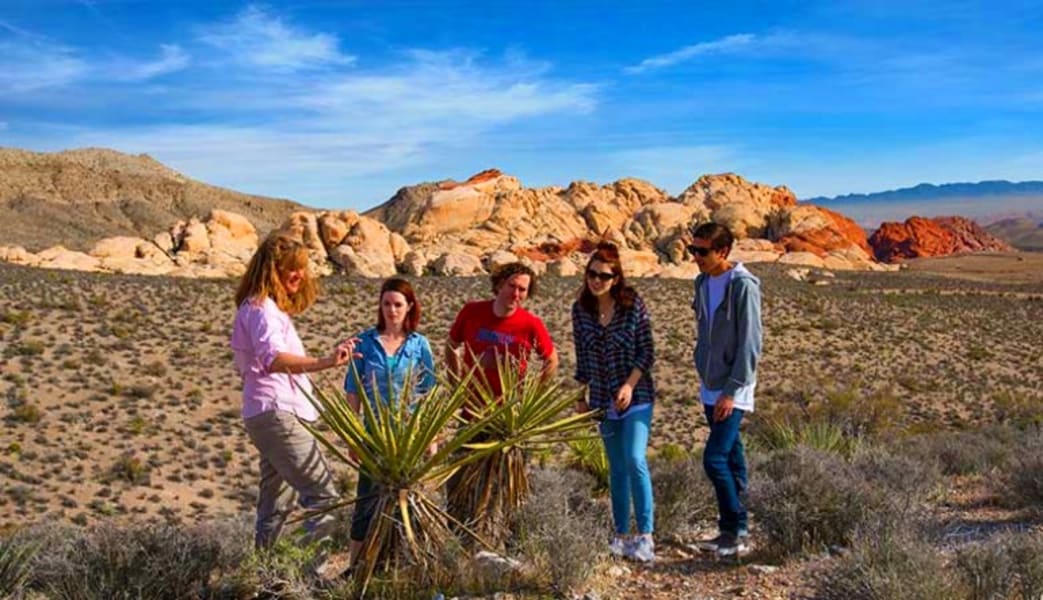 Image of Jeep Tour Red Rock Canyon - 4 Hours (Includes Hotel Shuttle)