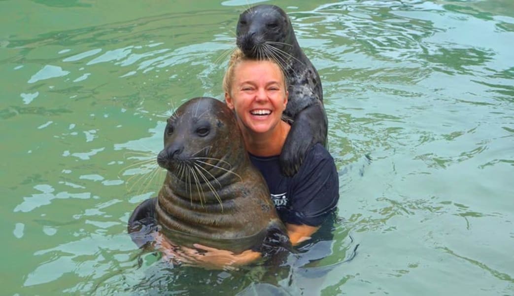 Seal Swim Miami with Admission to Seaquarium - 15 Minute Swim