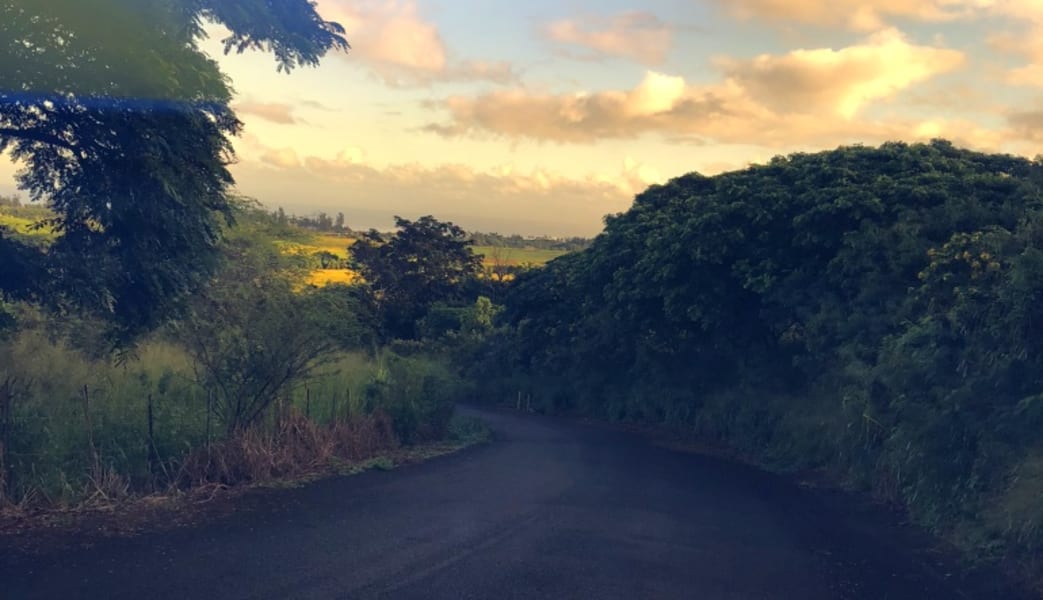 Beginners Guided Hike Oahu - 2 Hours