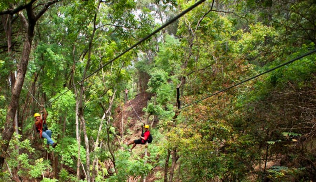 Waterfall Hike and Zipline Tour Maui - Half Day