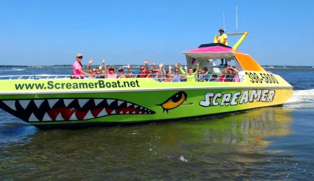 Speed Boat Ride and Dolphin Watch Ocean City - 50 Minutes