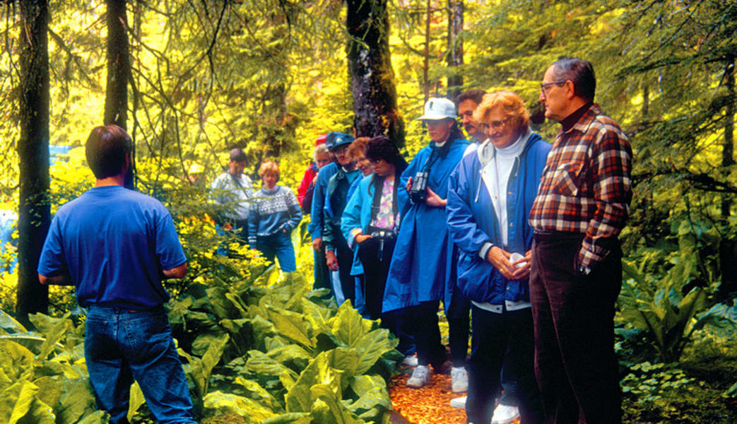 Walking Tour Ketchikan, Rainforest Island Adventure - 4 Hours