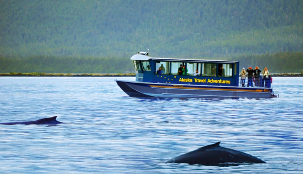 The Ultimate Juneau Experience, Whale Watching And Gold Creek Salmon Bake - 6 Hours