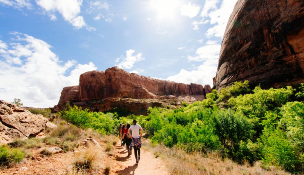 Image of Scenic Flight Grand Canyon & Hiking Tour, Phoenix - Full Day