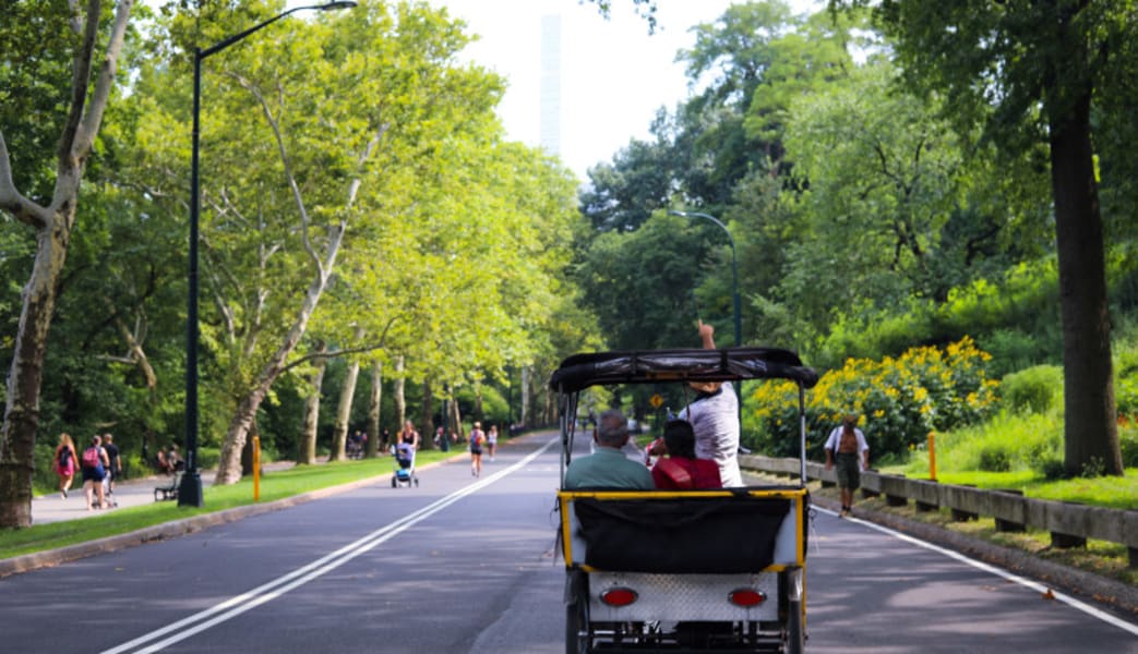 Central Park Pedicab Tour- 1 Hour