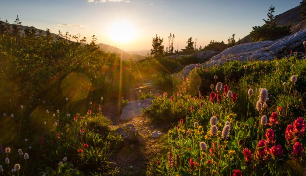 Guided Hike Rocky Mountain National Park - Full Day