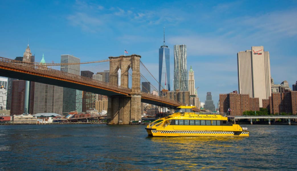 Image of New York City VIP All Access Tour