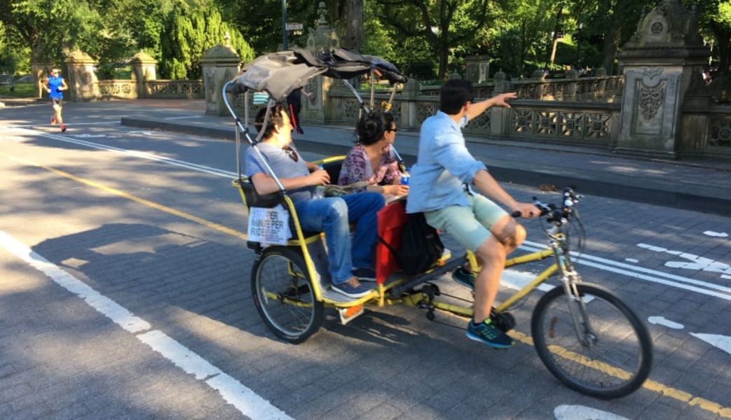 Pedicab Guided Tour, Central Park - 1 Hour