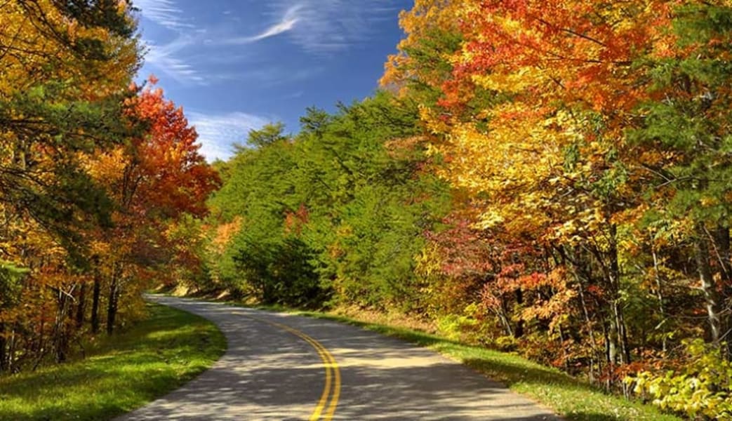 Image of Jeep Tour Smoky Mountains, Valley & Views Tour - 2 Hours