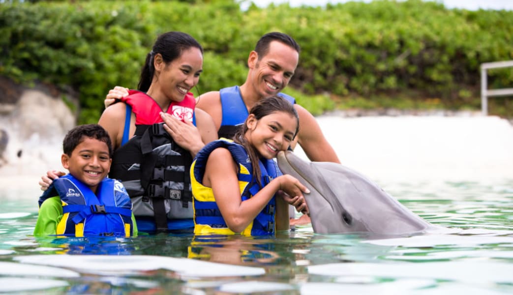 Image of Private Dolphin Swimming Adventure Tour Oahu with Luxury Transportation