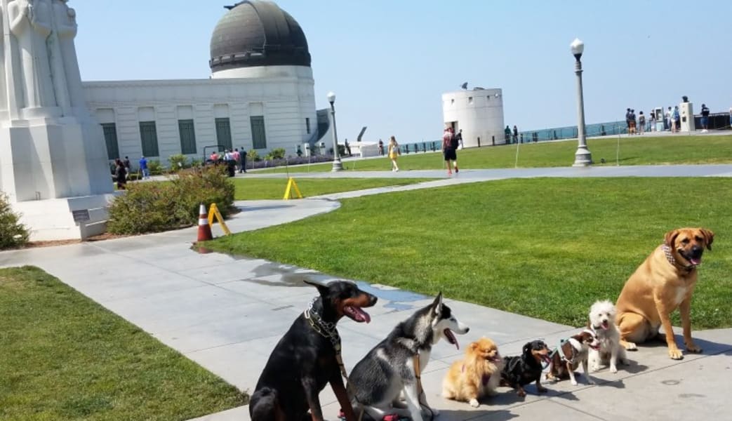 Image of Los Angeles & Hollywood City Tour - 4.5 Hours