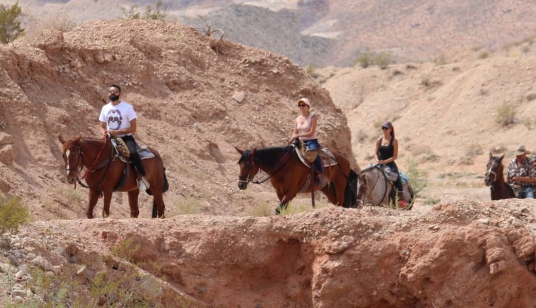 Horseback Riding With BBQ Lunch, Las Vegas  - 2 Hours