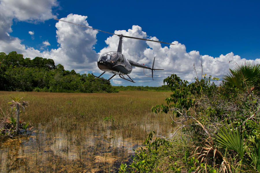 Image of Private Helicopter Tour Miami, Everglades Flight - 20 Minutes