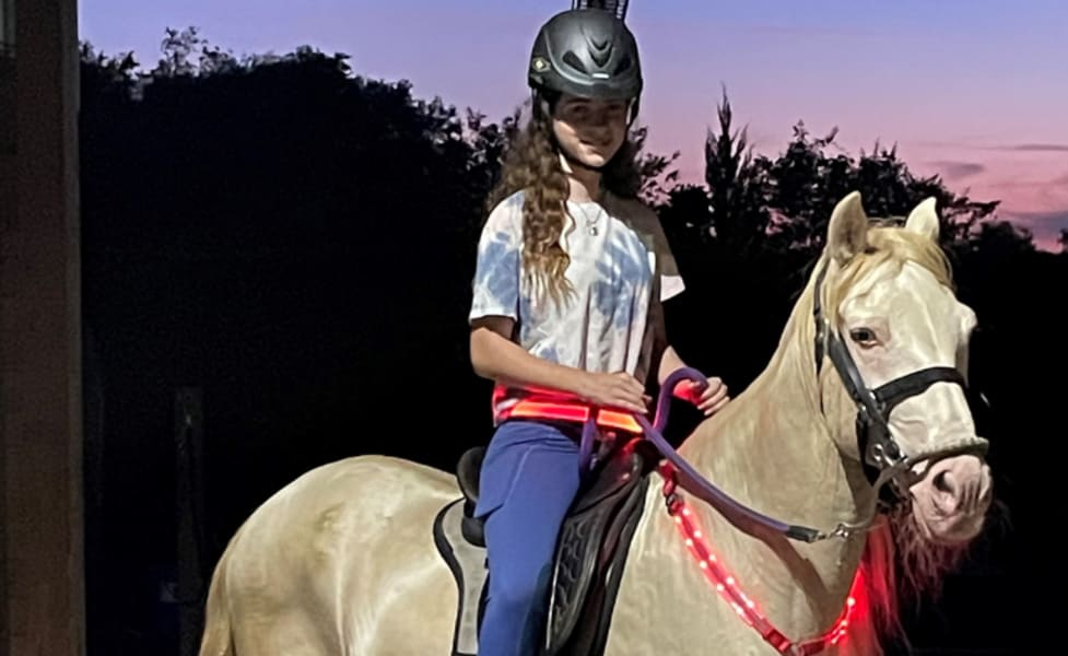 Horseback Riding Orlando, Interactive Evening Experience - 30 Mins