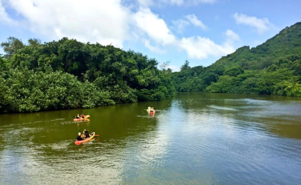 Oahu Kayak Rainforest River Tour, 4 Hrs