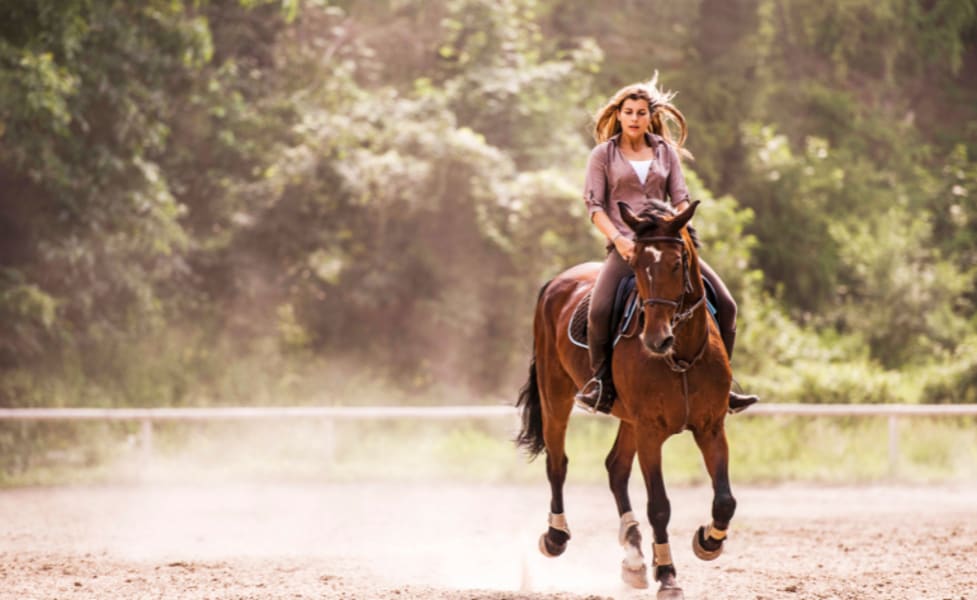 Private Horseback Riding San Antonio, Texas Hill Country - 2 Hours