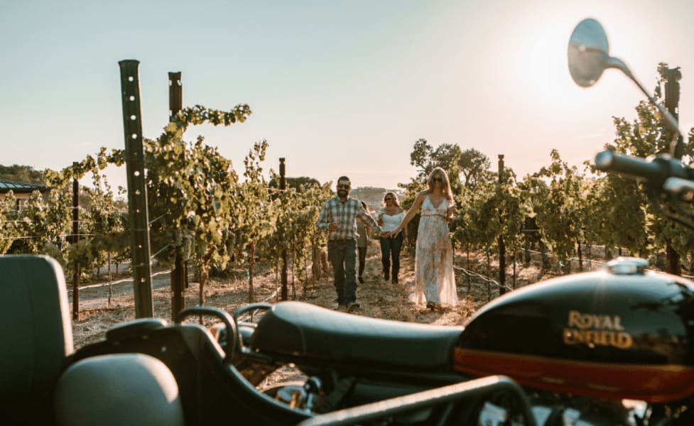 Cass Estate Vineyard Wine Tour, Paso Robles - 1 Hour